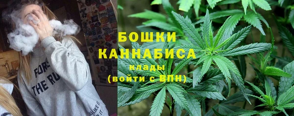 метадон Гусь-Хрустальный