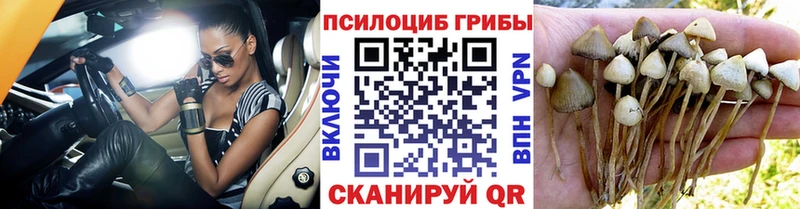 магазин продажи   Долинск  omg сайт  Псилоцибиновые грибы Cubensis 